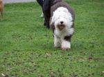 Mady_May25 044.jpg
