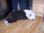 Mady_May25 045.jpg