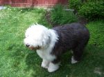 Mady_May25 075.jpg
