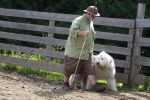 herding 1 013.JPG