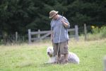 herding 3 135.JPG