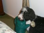 sept2010 030.JPG