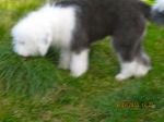 IMG_0082~0.JPG