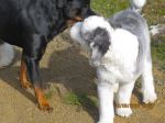 IMG_0093~1.JPG
