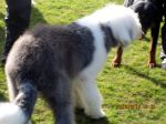 IMG_0106~0.JPG