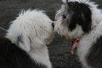 IMG_0862.JPG