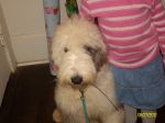 Daizy and Dolly 002.JPG