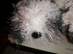 PC080136.JPG