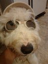 tilly ready for summer.jpg