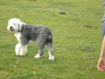 DSC01777.JPG