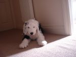 DSC01930.JPG
