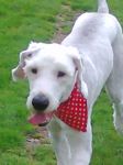 photo0205_001.jpg