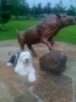 Rufus and Hog.jpg