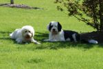DSC00596.JPG