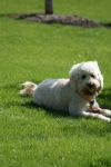 DSC00600.JPG