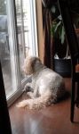 on the lookout.jpg