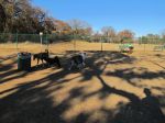 dogpark1 004.JPG