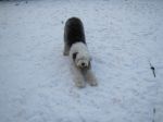 snow11 003.JPG