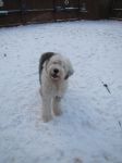 snow11 004.JPG