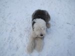 snow11 007.JPG