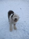 snow11 010.JPG