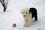Libby and ball.jpg