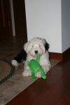 Libby with frog Dec 2010.JPG