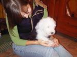 bigpuppyvisit_15.jpg