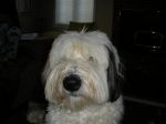 DSCN1518.JPG