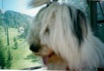 scan0001.jpg
