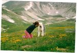 scan0003~0.jpg