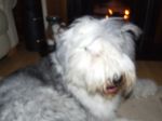 DSCF1549.JPG