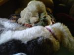IMG-20120310-00090.jpg