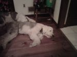 IMG-20120310-00099.jpg
