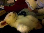 9 weeks.JPG