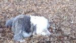2012-02-14_15-55-26_831.jpg
