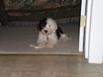 2011 08 18 The Innocent Look.JPG