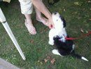 2011 08 20 At the Caz Farmers Market.jpg