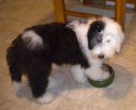 2011 11 01 Want Water Now.jpg