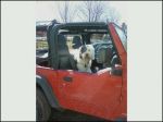 2012 03 11 First Top Down Ride.jpg
