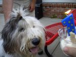 2012 06 19 Bensons First Birthday 1.JPG