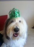 2013 03 17 St Pattys Benson.jpg