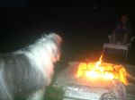 2013 07 18 Benson and the Fire.JPG