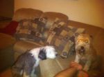 Molly&Indy2.JPG