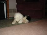DSC01661.JPG