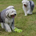 IMG_3895.jpg