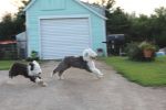 IMG_0451.JPG