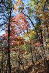 IMG_0660.jpg