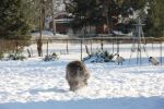 IMG_1199.JPG