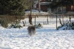 IMG_1200.JPG
